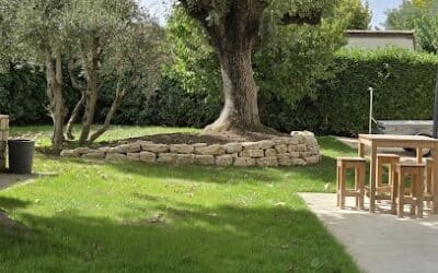 Étapes clés pour aménager son jardin